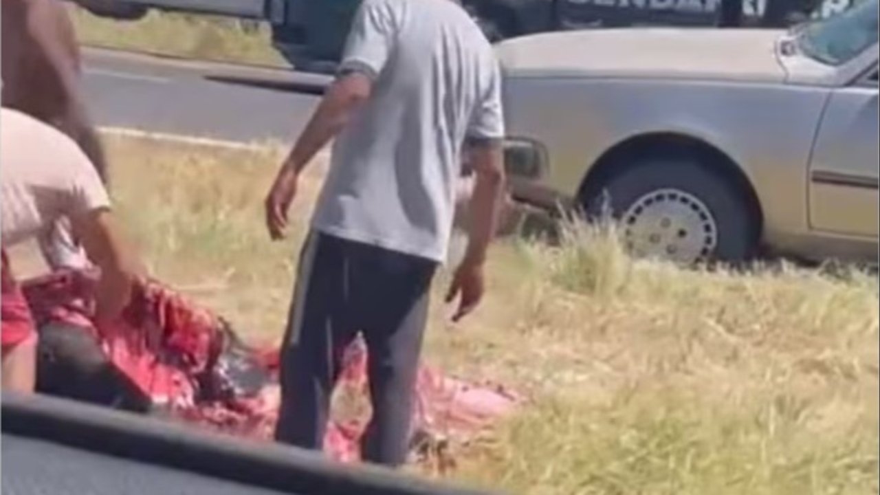 Como en el 2001: volcó un camión con vacas y los vecinos las faenaron
